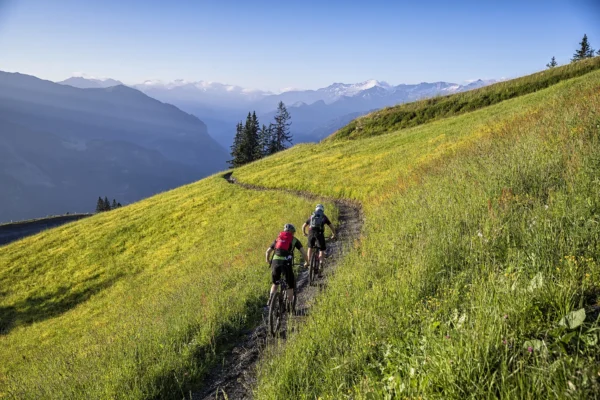 Large singletrail ausblick wom chalet stolz
